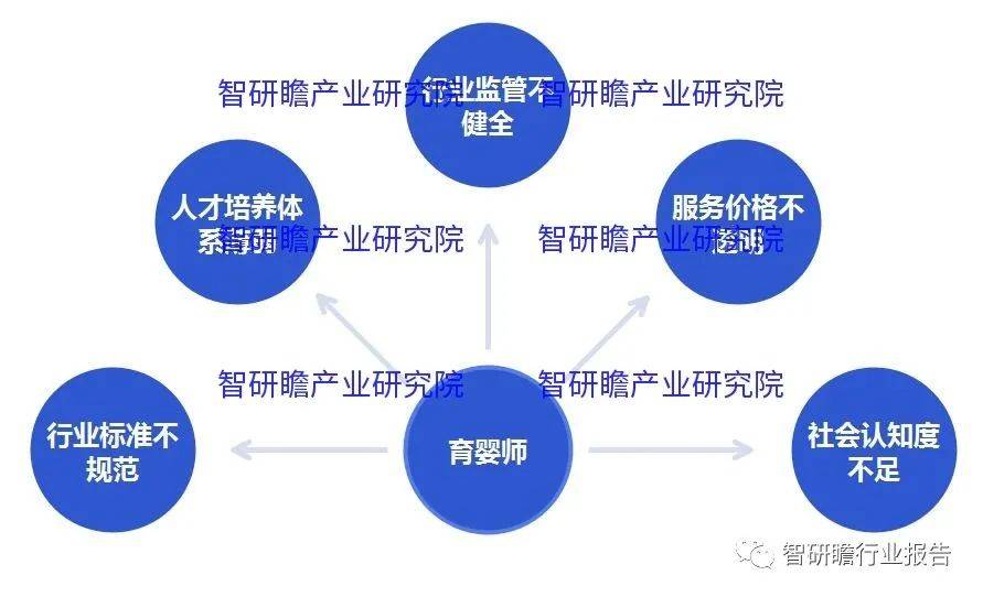 Bsport体育：中国育婴师市场：更加开放、创新和国际化(图4)