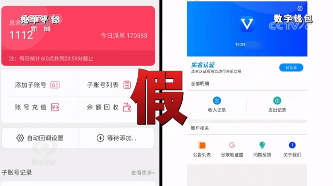 Bsport体育APP：焦点访谈：理财“捷”径变“劫”径(图6)